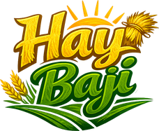 hay baji